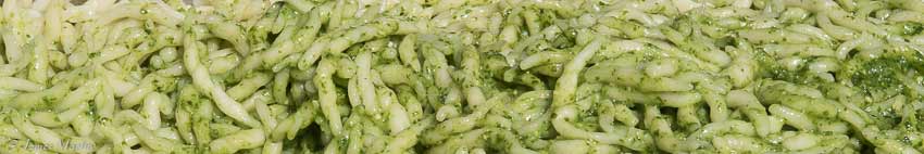 trofie al pesto