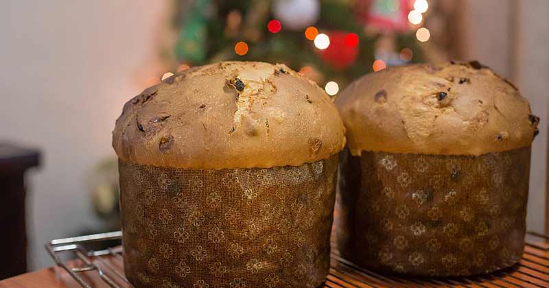 panettone