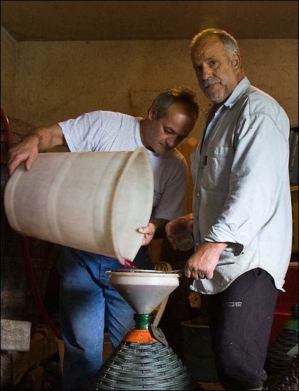 making wine in the Lunigiana