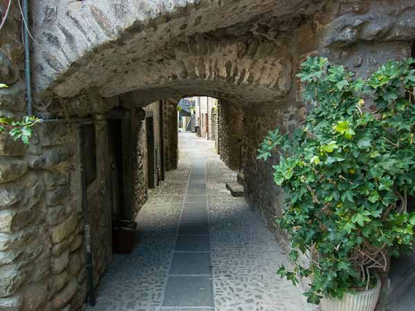filetto in tuscany picture