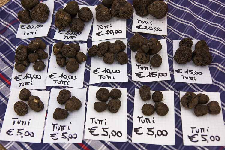 truffles picture