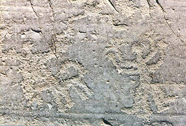 valcamonica petroglyph