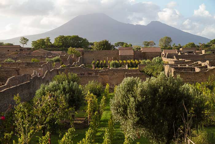 pompeii vineyards picture