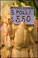 polli or chickens on sale